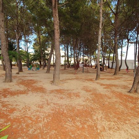 Family Seafront Apt Fantastic Seaview Pollenca Bagian luar foto